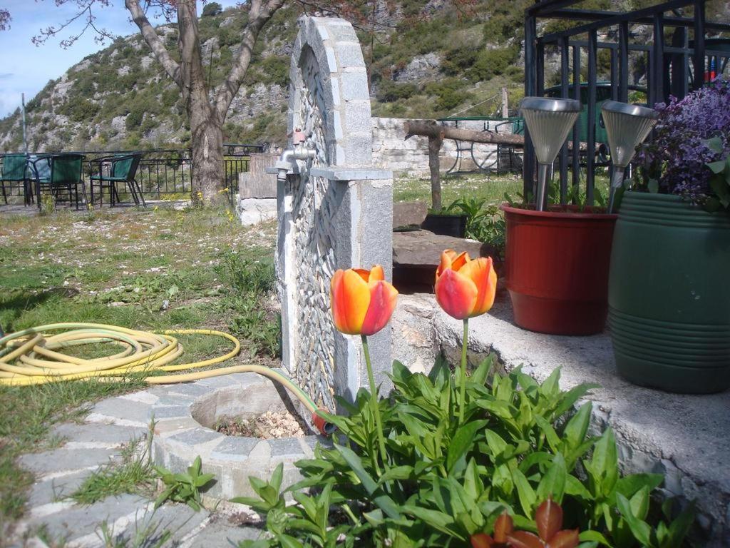 Terpsichori Guesthouse Kepésovon Buitenkant foto